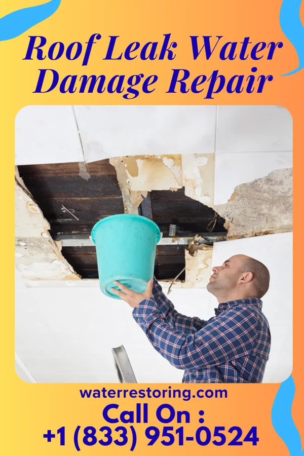 Roof Leak Water Damage Repair in Maple Grove, MN